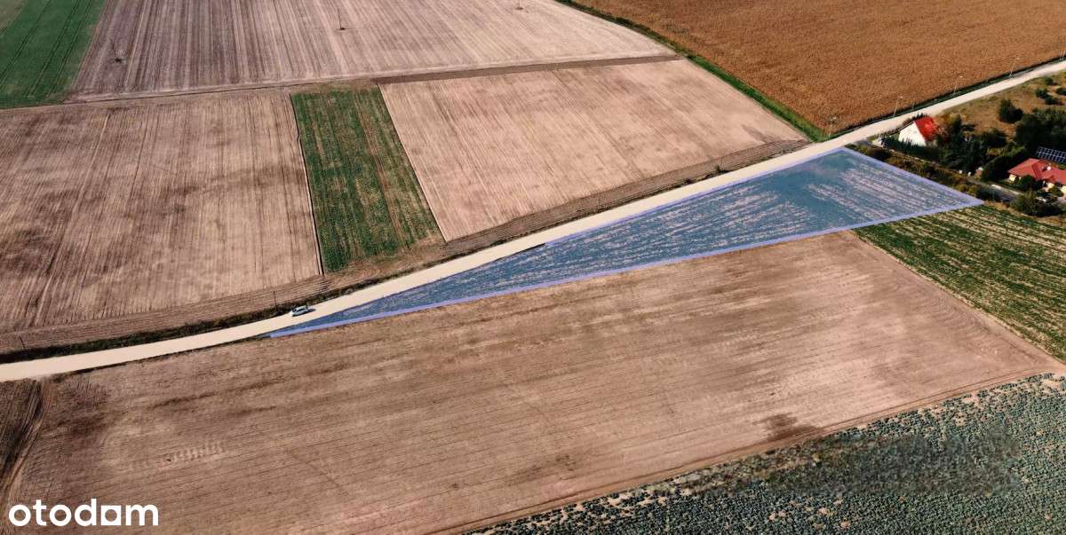 Działka - Czołowo - dla inwestora - Pełny obrazek: 4/9