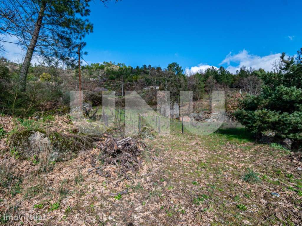 Quinta T2 com Habitação, Infraestruturas Agrícolas e Terreno com Vi...-40