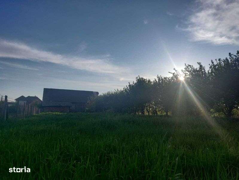 de vanzare 2000 mp intravilan in loc. Decebal cu front stradal 28-29 m - Imagine principală: 5/5