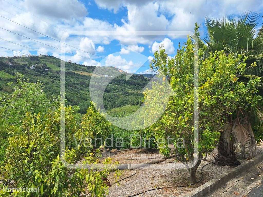 Moradia V6 com anexo T2 com terreno de 7.480 m2 em Arruda dos Vinho...-27