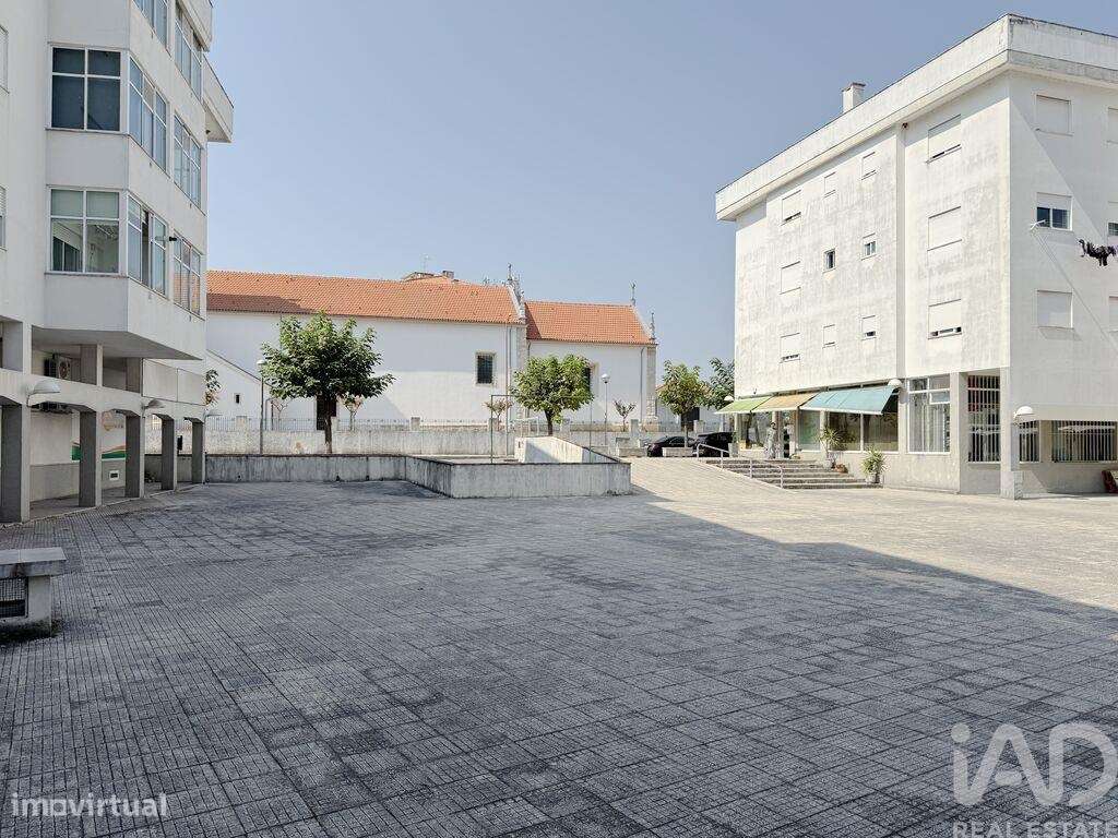 Loja / Estabelecimento Comercial em Oliveira do Bairro de 34,00 m2 - Grande imagem: 3/15