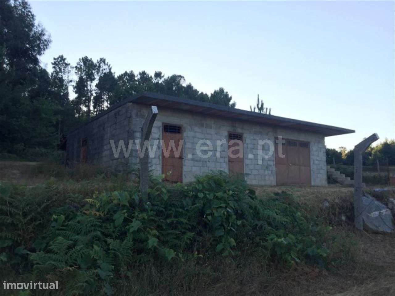 Terreno - Grande imagem: 4/7