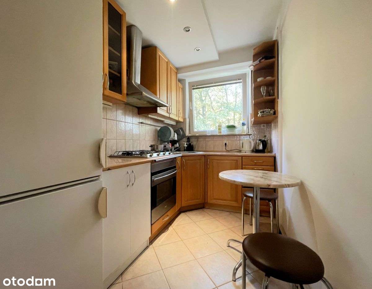 Świetny rozkład // Park-0