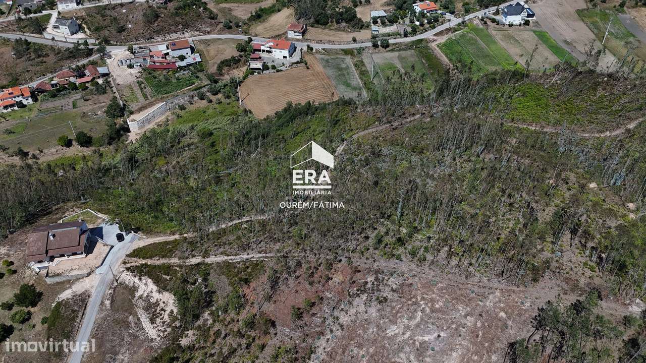 Terreno Florestal em Matas, Ourém-10