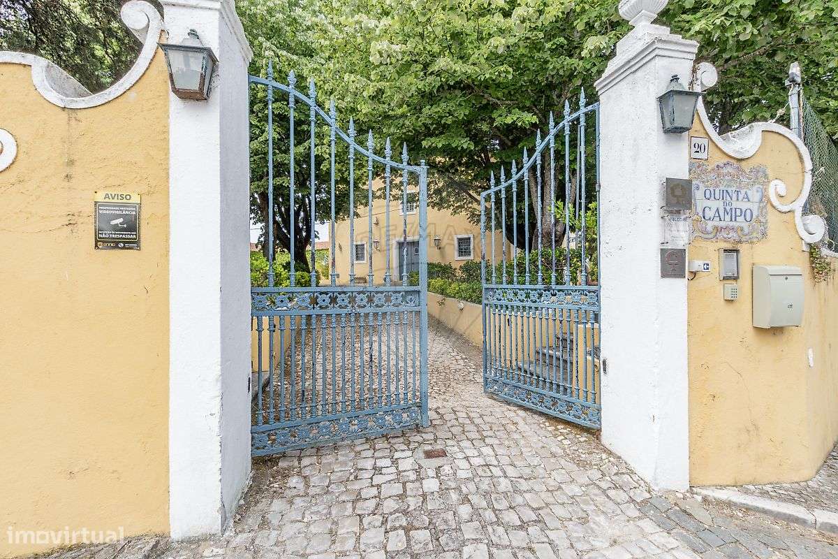 Quinta T21 para venda-33