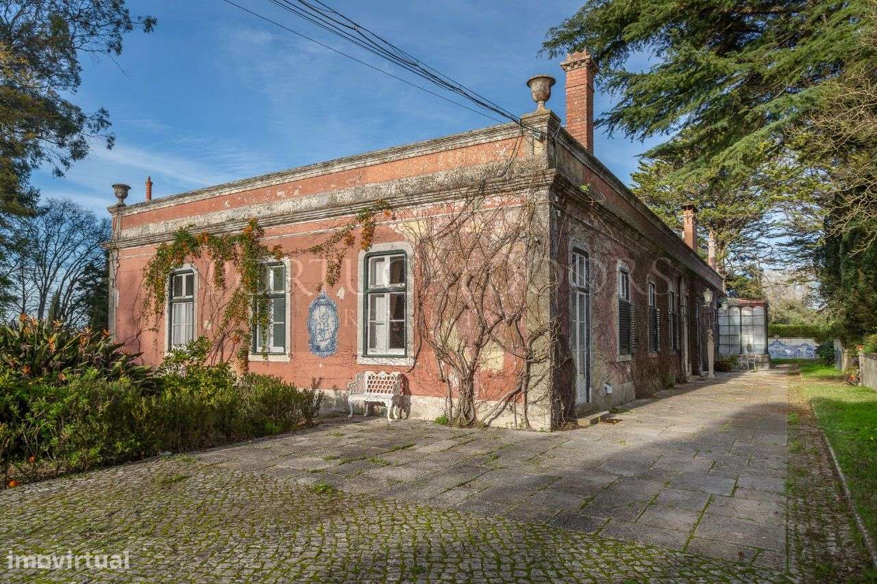 Quinta 5Ha em Azeitão - Grande imagem: 3/60