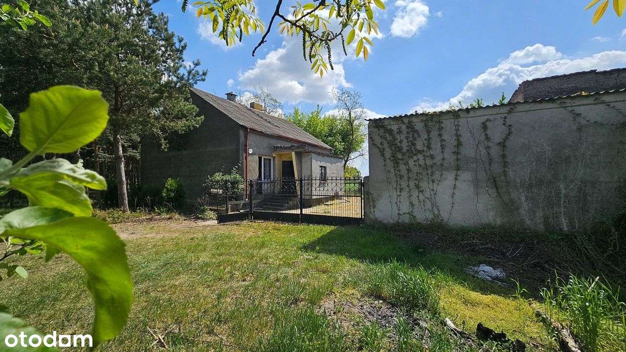 Siedlisko z potencjałem – Piotrków Kujawski, możliwość podziału-9