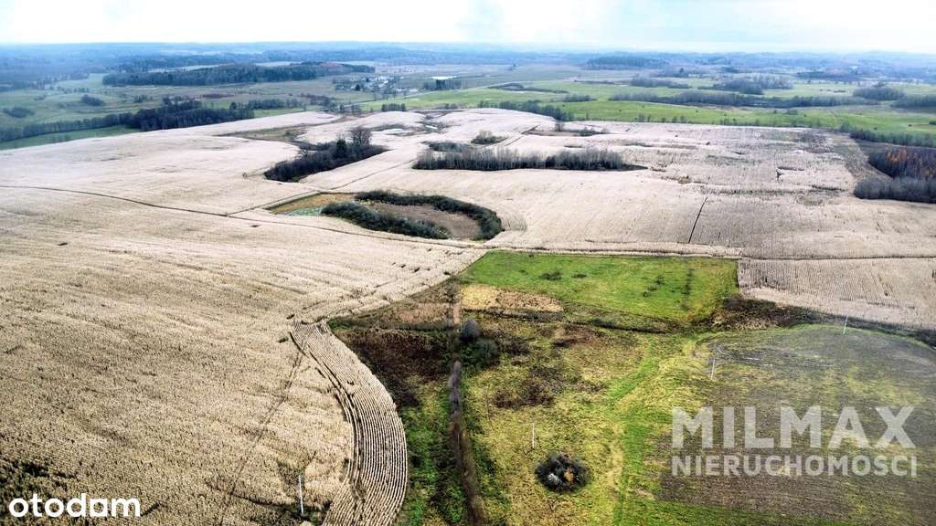 Grunt rolne 336 ha | Rolnictwo + PV - Pełny obrazek: 4/20