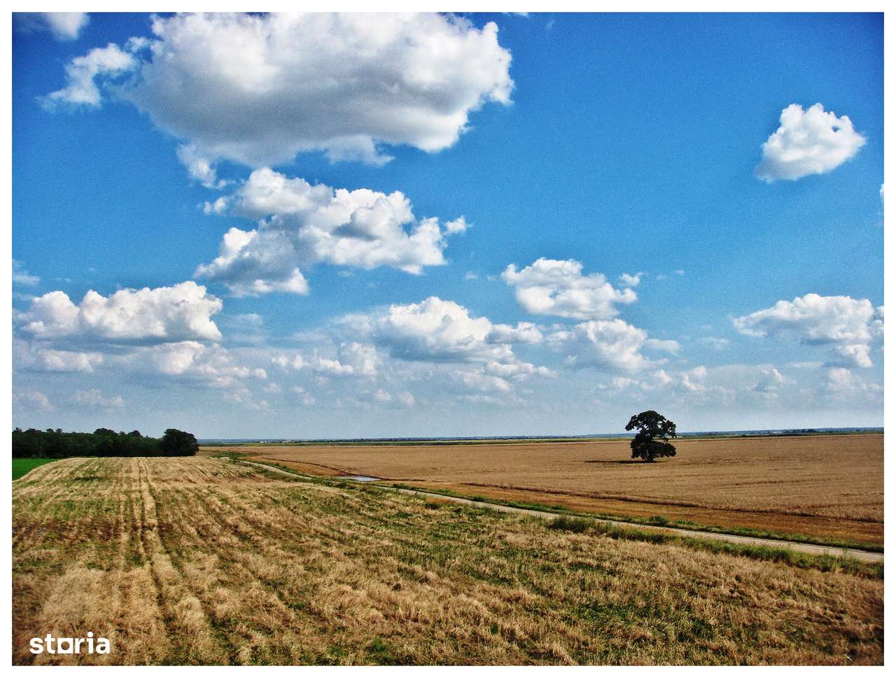 Loc de casa, retras, curat, liniste, natura, Frumusani-ComunitateVerde - Imagine principală: 4/19