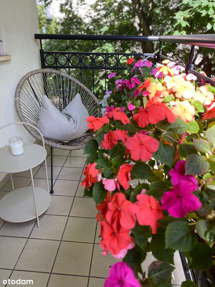 Mieszkanie 3 pokoje Karlikowski Młyn.-12