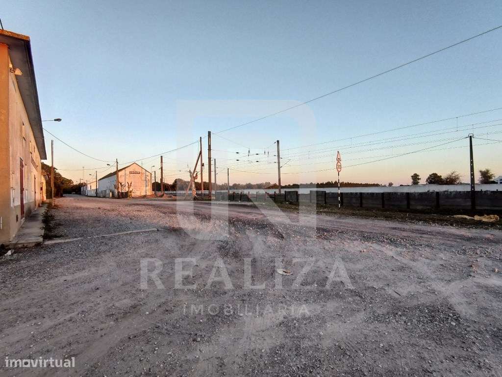 Terreno rústico em Pegões - Grande imagem: 5/16