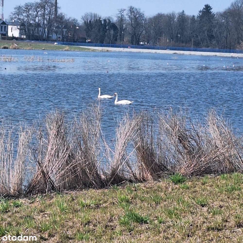 Działka budowlana – Komorniki, gm. Kleszczewo, blisko Poznania (MPZP) - Pełny obrazek: 5/10
