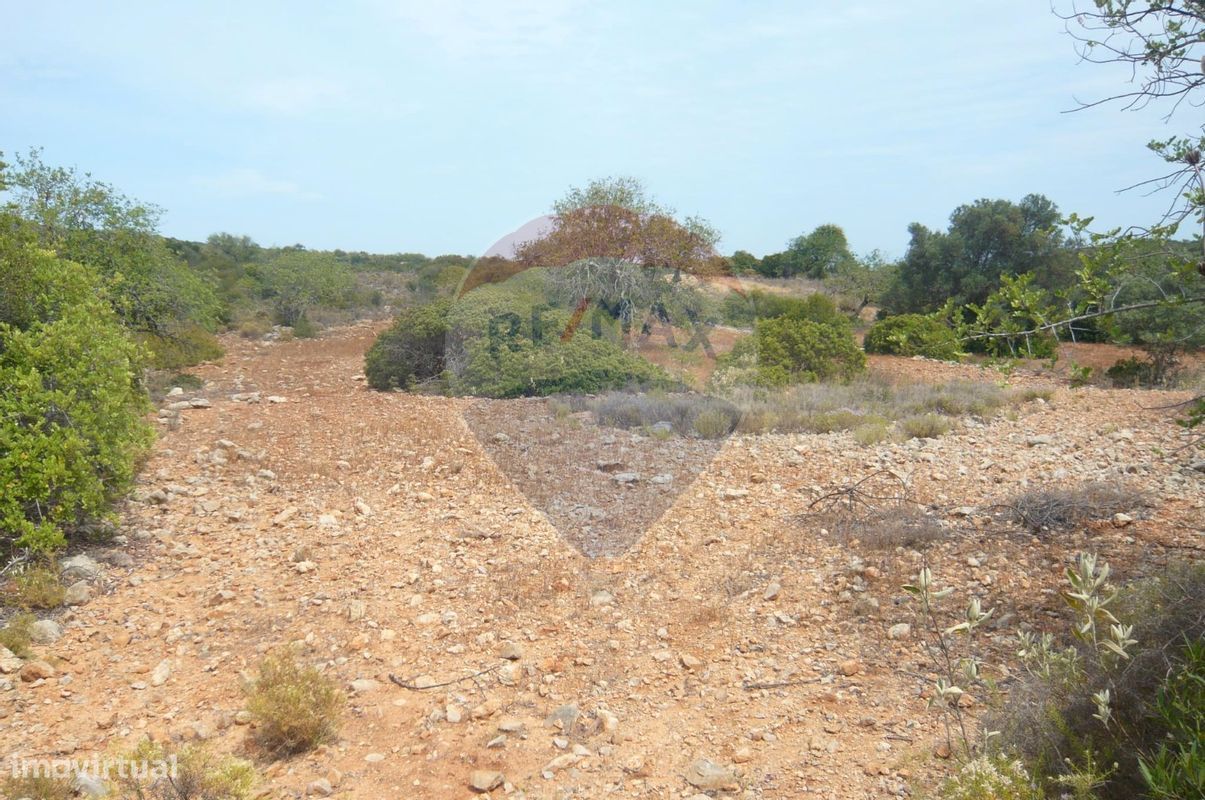 Terreno  para venda