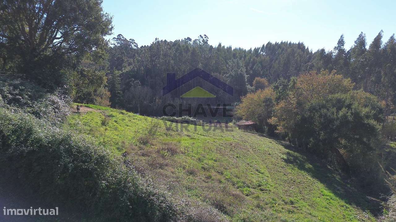 Magnífica Quinta c/ 10.490 m2 Concelho Cadaval-47