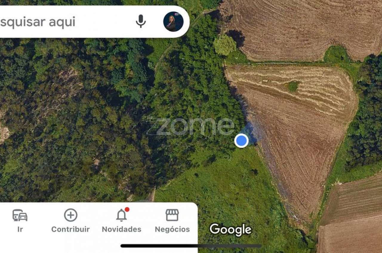 Terreno | Cultivo | Venda - Grande imagem: 4/16