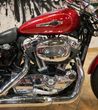 Harley-Davidson Sportster Custom 1200C - 19