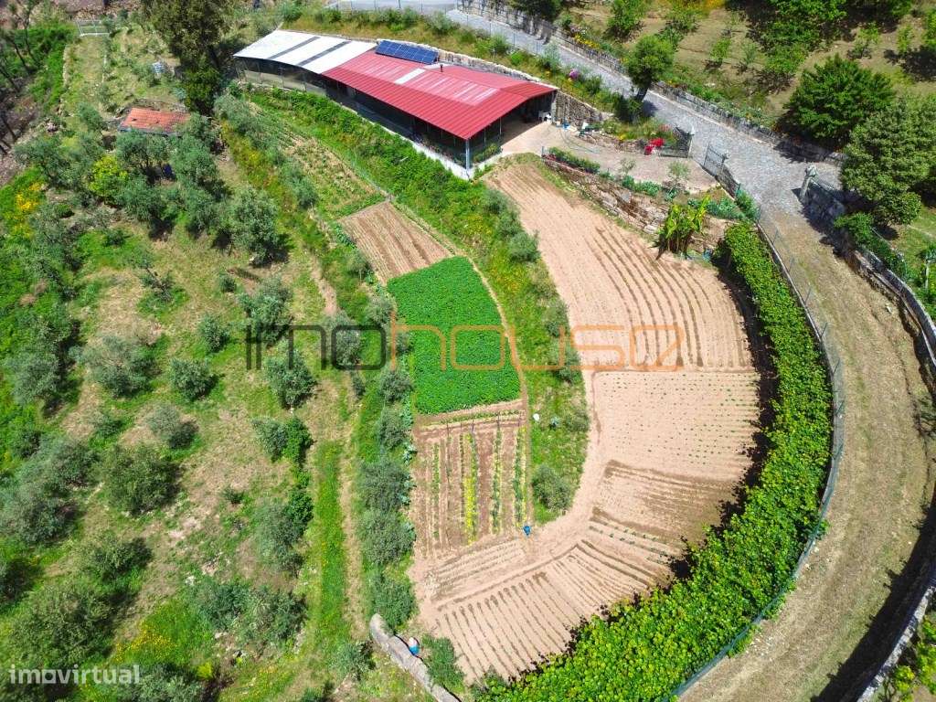 Quinta agrícola - 45 minutos do Porto-47