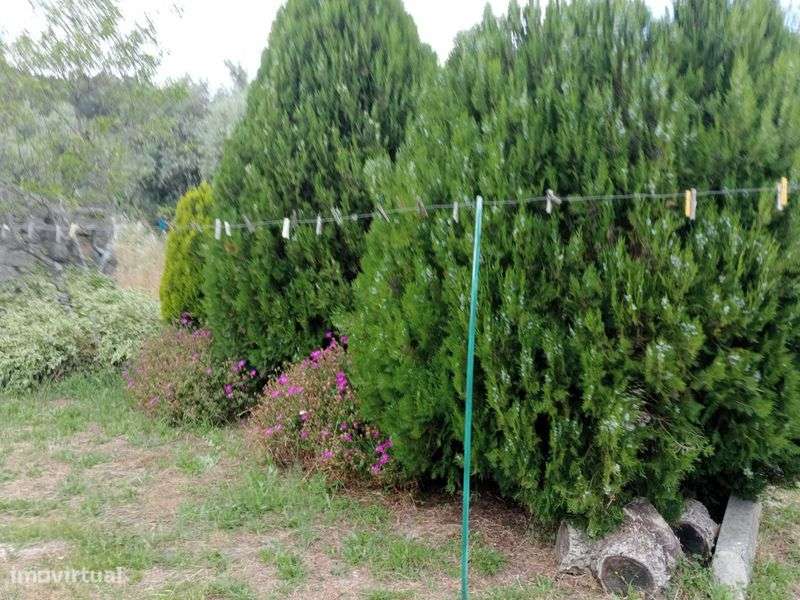 Monsanto Aldeia Histórica Venda de casa tipica - Grande imagem: 5/12