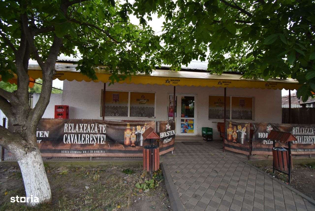 Vanzare casa si spatiu comercial Micsunestii Mari, jud Ilfov - Imagine principală: 5/8