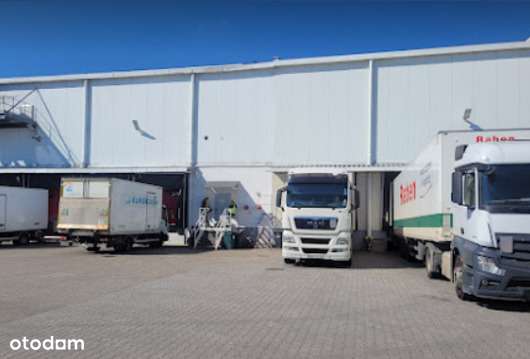 Magazyn podnajem, Błonie Pass, Warszawa, MROŹNIA - Pełny obrazek: 5/8