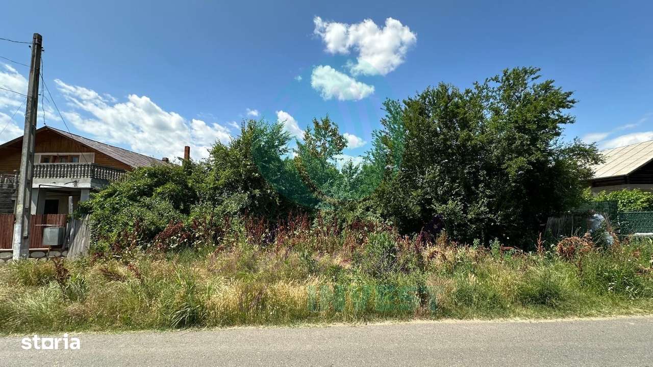 Teren 16534 mp pentru dezvoltare rezidențială, Siliștea Snagovului - Imagine principală: 5/7