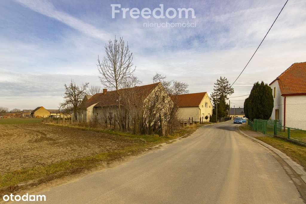 Nieruchomość z potencjałem – Grabina - Pełny obrazek: 4/11