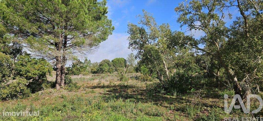 Terreno Agrícola em Bensafrim e Barão de São João - Grande imagem: 3/19