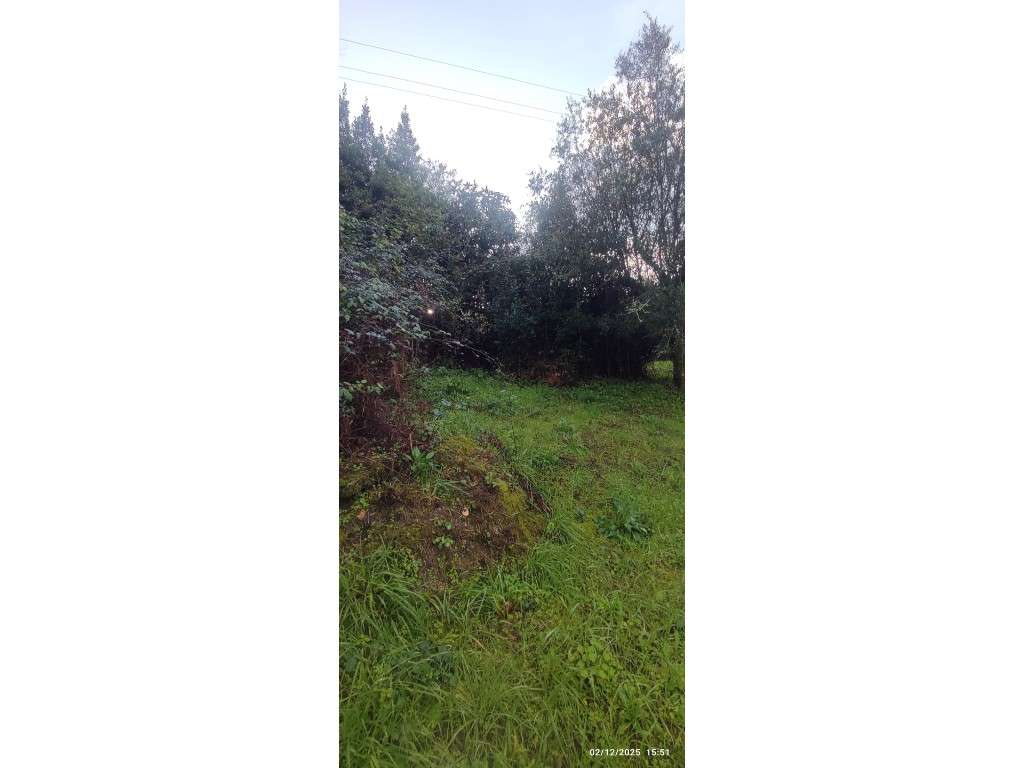 Casa para restauro com 6000m2 de terreno, localização única entre a...-19