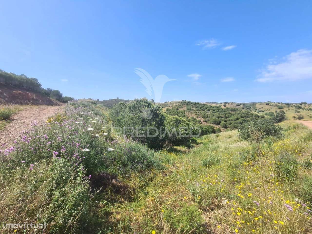 Terreni Rústico - Grande imagem: 2/10