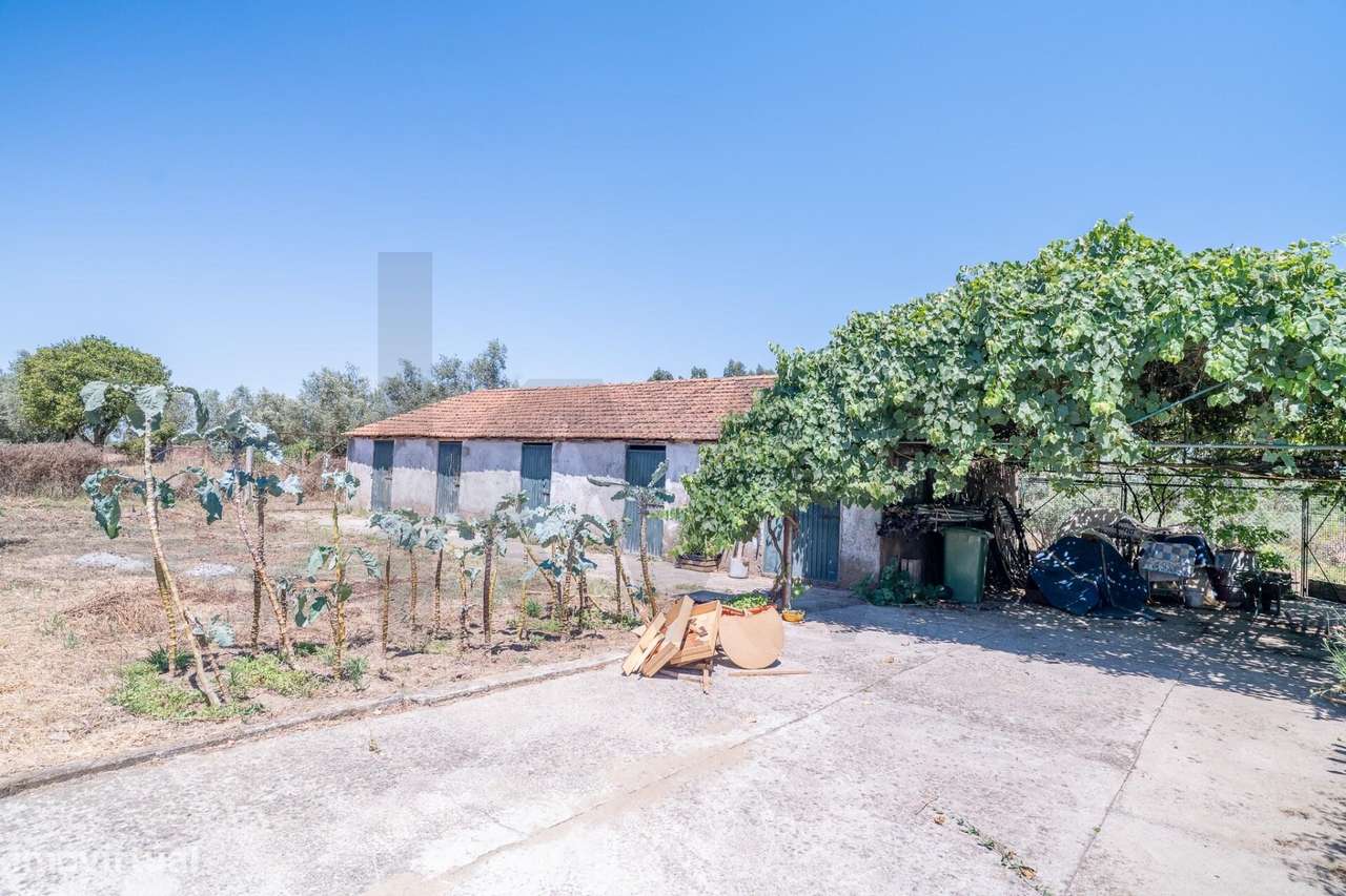 Quinta com 14.920m2 com Moradia T6 e Café em Tomar-45