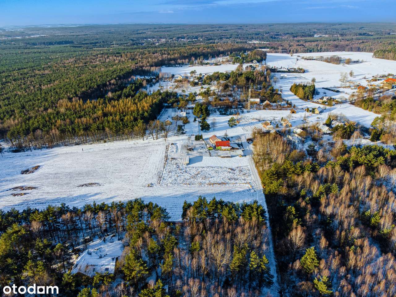 w lesie | nasłoneczniona | woda na działce-7