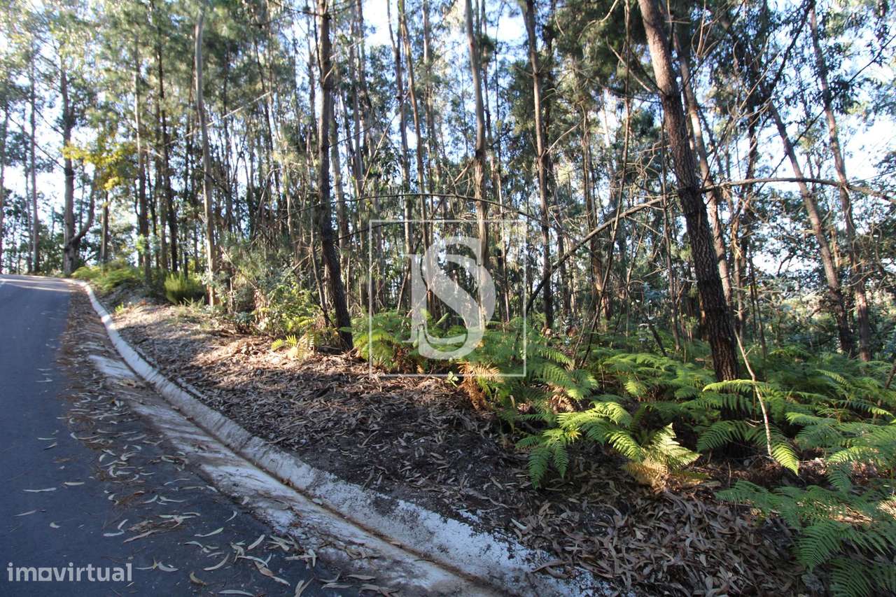 Terreno Venda em Rebordelo,Amarante - Vista 5