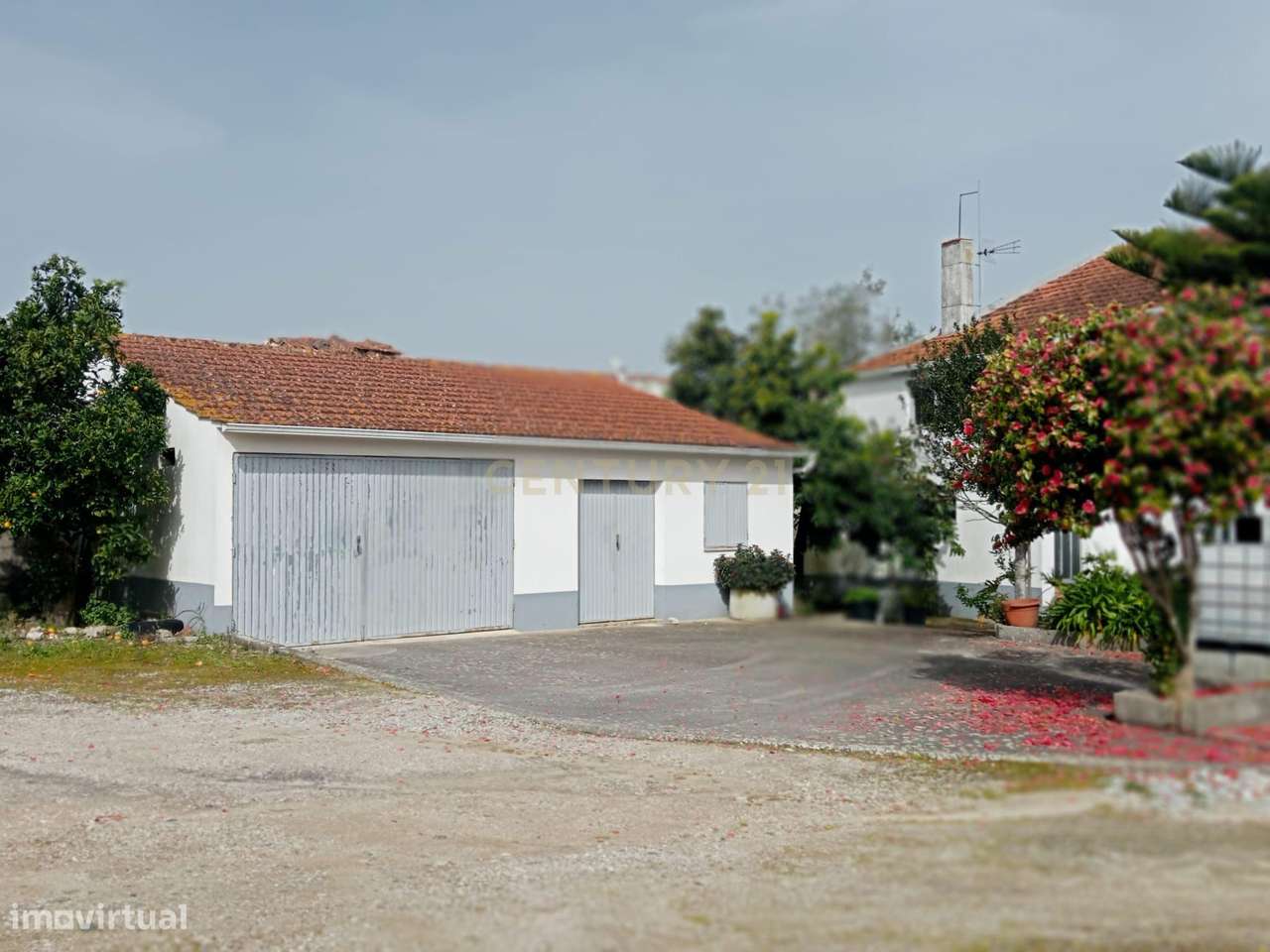 Moradia T6 com Terreno de 5.817m2 para Agricultura ou Turismo Próx. Fá - Grande imagem: 4/31