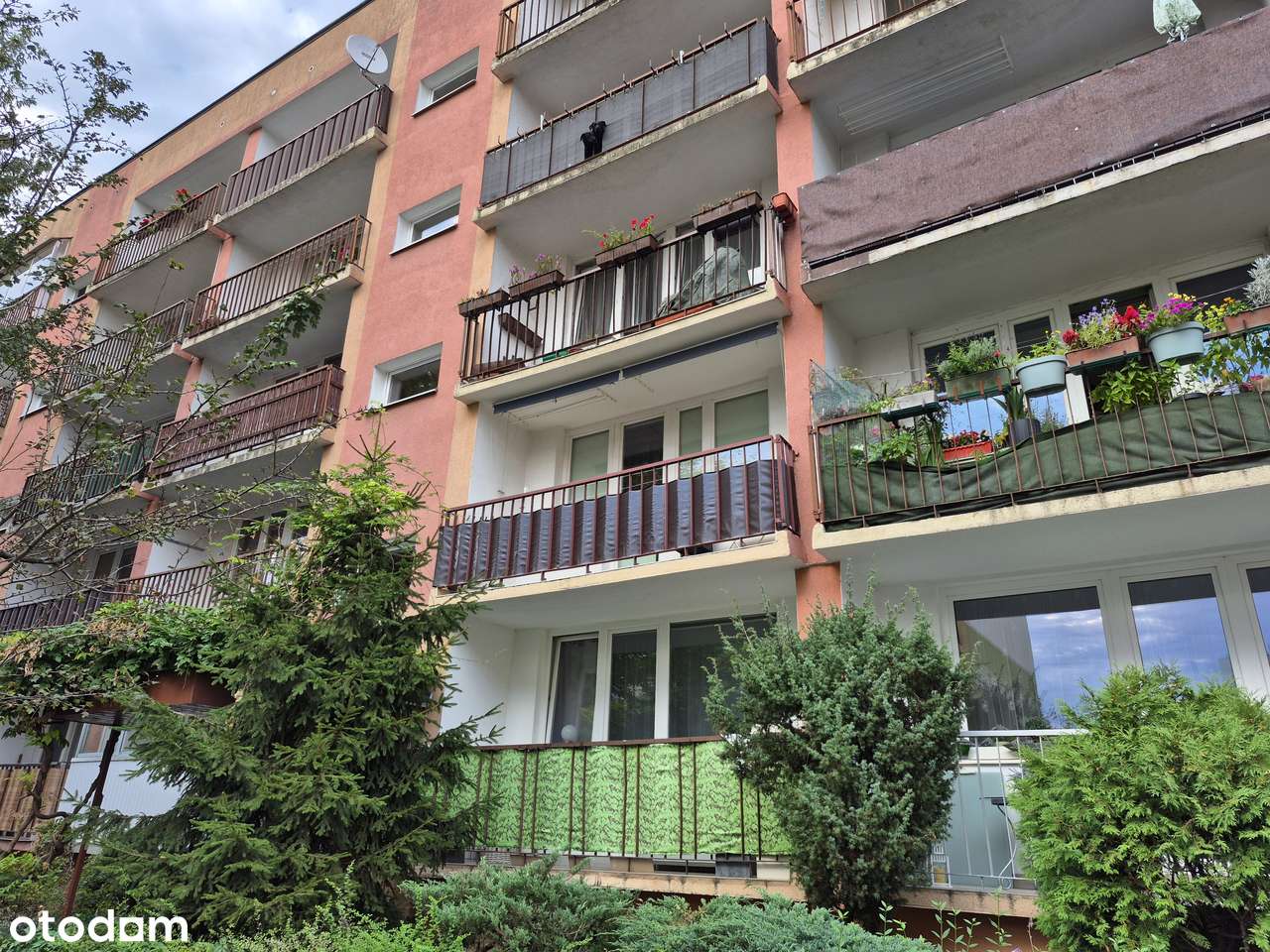 Sprzedam mieszkanie 50 m2 1 piętro super lokalizacja - Pełny obrazek: 4/14