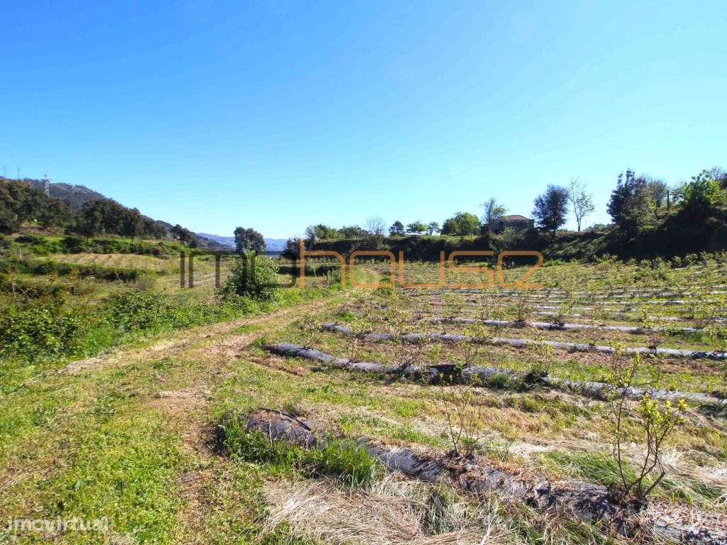 Quinta de 5.6 ha - Varias edificações, ribeiro e vista Douro-28