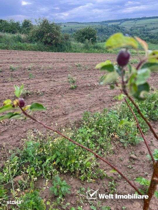 Teren extravilan cu gradina in Saliste - Imagine principală: 2/8