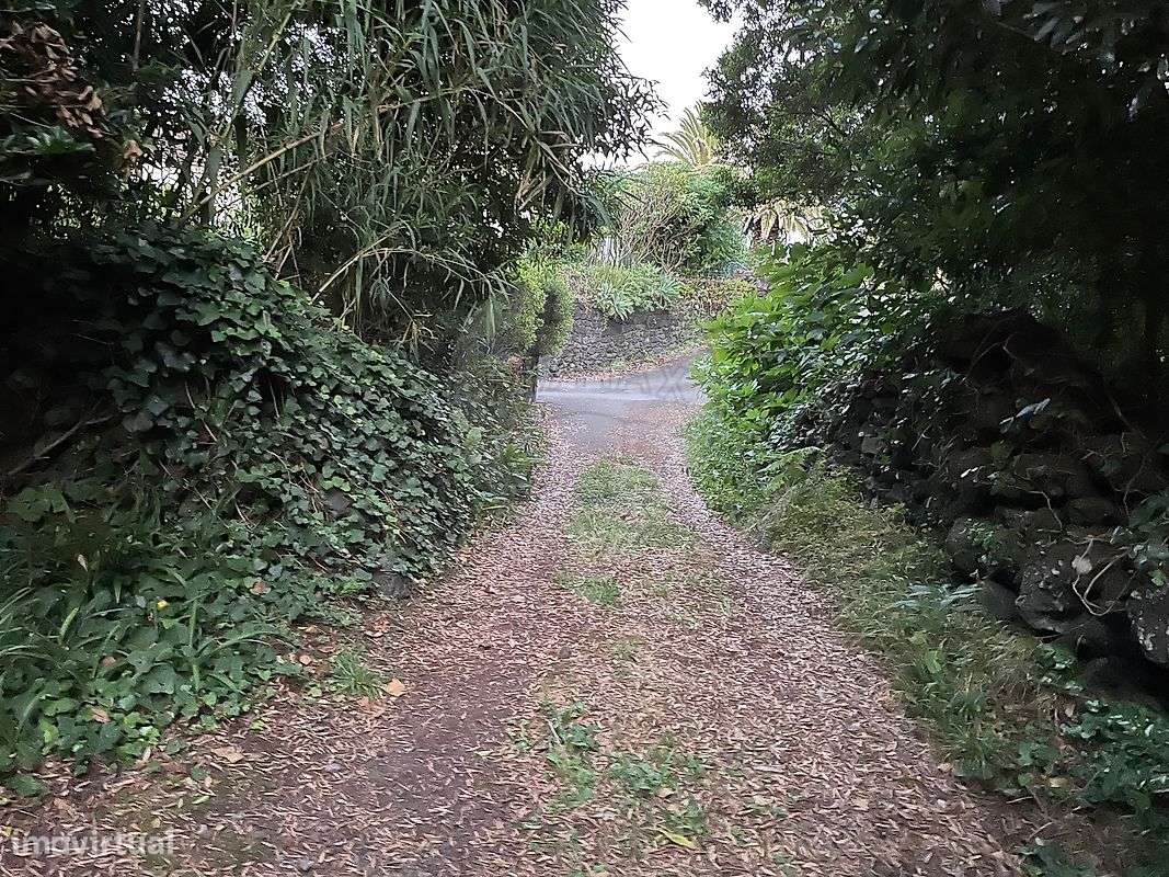 Terreno  para venda - Grande imagem: 4/4