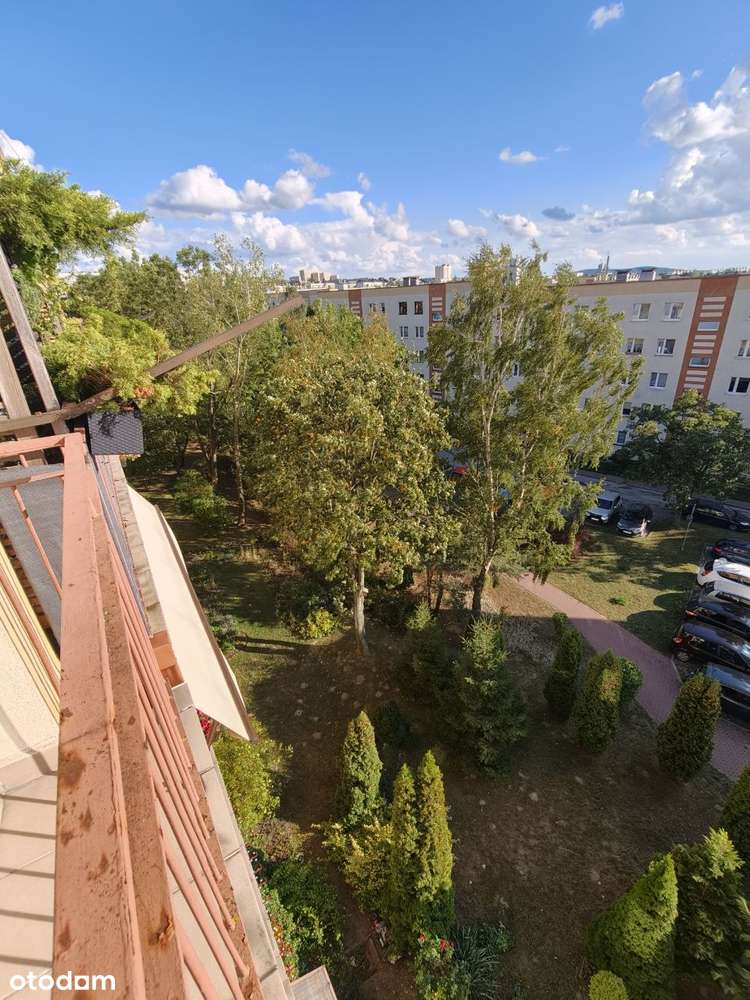 UL.Orkana , dwa pokoje 49,10 m2 po remoncie-16