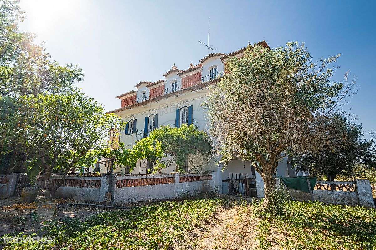 Quinta T13 para venda-2