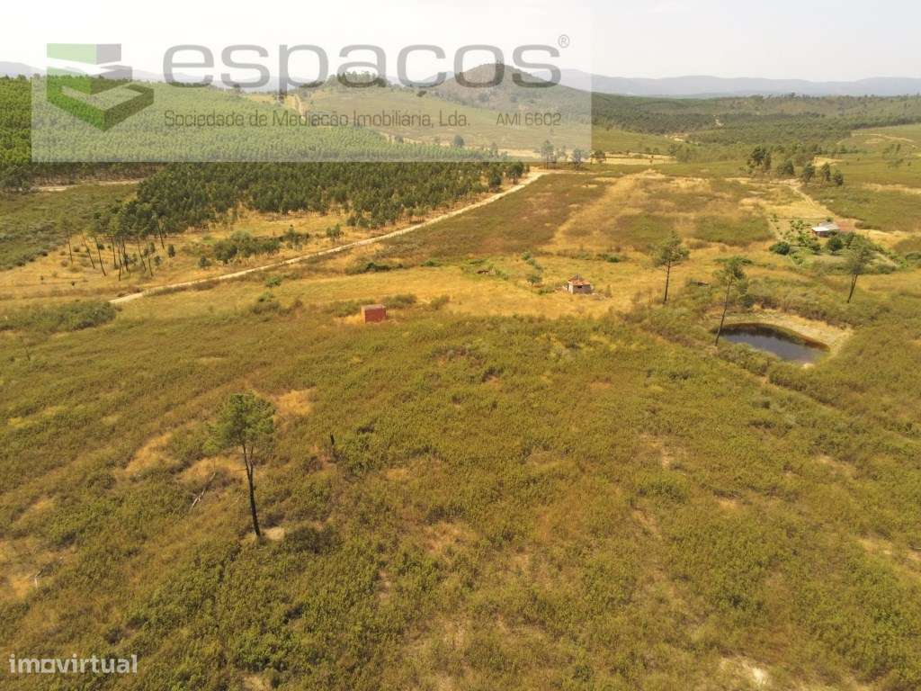 Quinta com 2 poços e barragem - Juncal do Campo - Grande imagem: 3/12