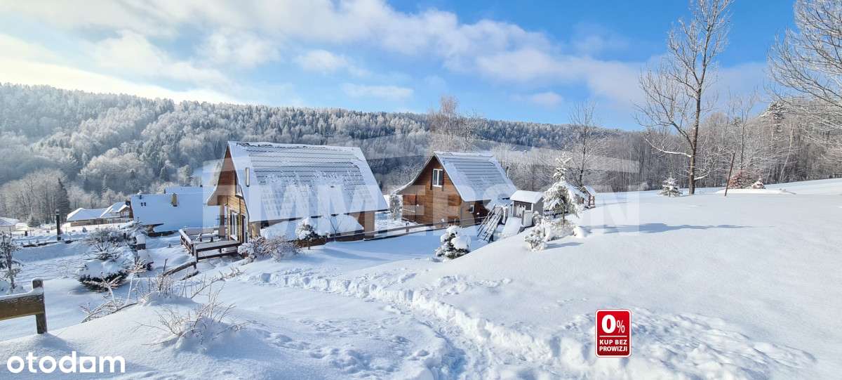 Ustrzyki Dolne – działający obiekt turystyczny - Pełny obrazek: 5/13