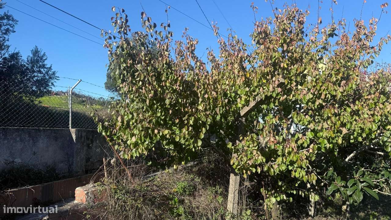 Moradia para reconstrução | Terreno 1.506 m2 | Vista campo | Periferia-8