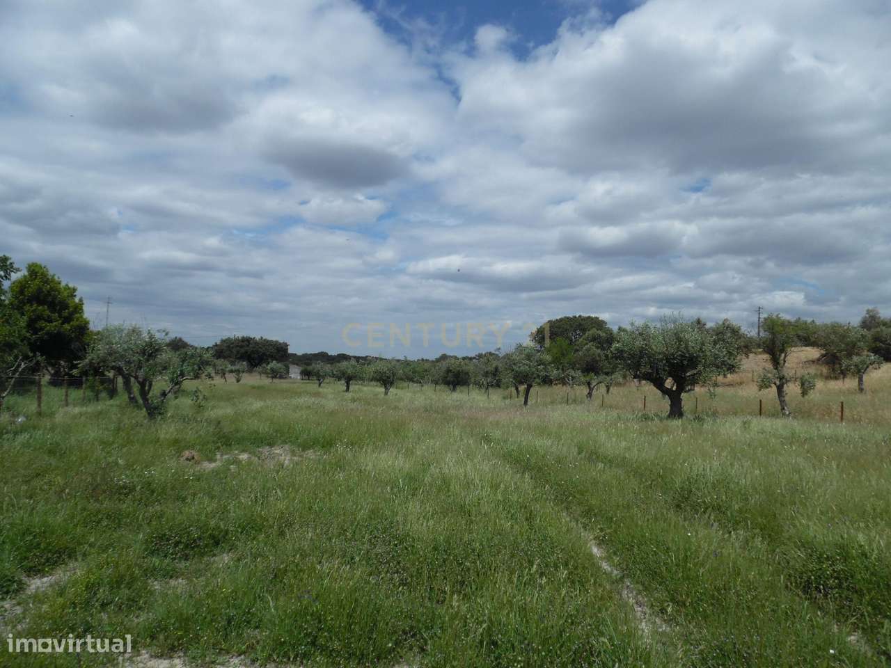 Quinta em Capelins,  Alandroal - Évora,  Oportunidade Única-53