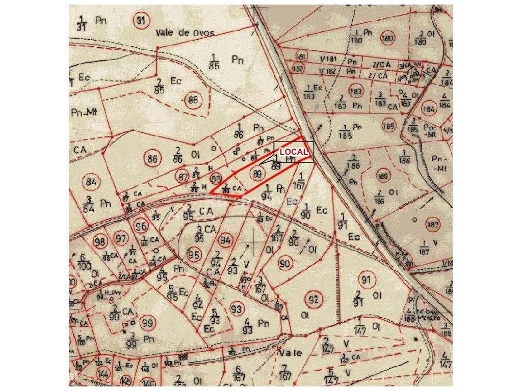 Terreno rústico com Eucaliptal - Agroal, Tomar - Grande imagem: 4/4