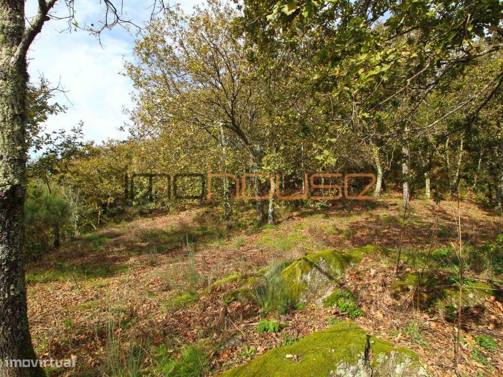 Quinta isolada - Amarante-22