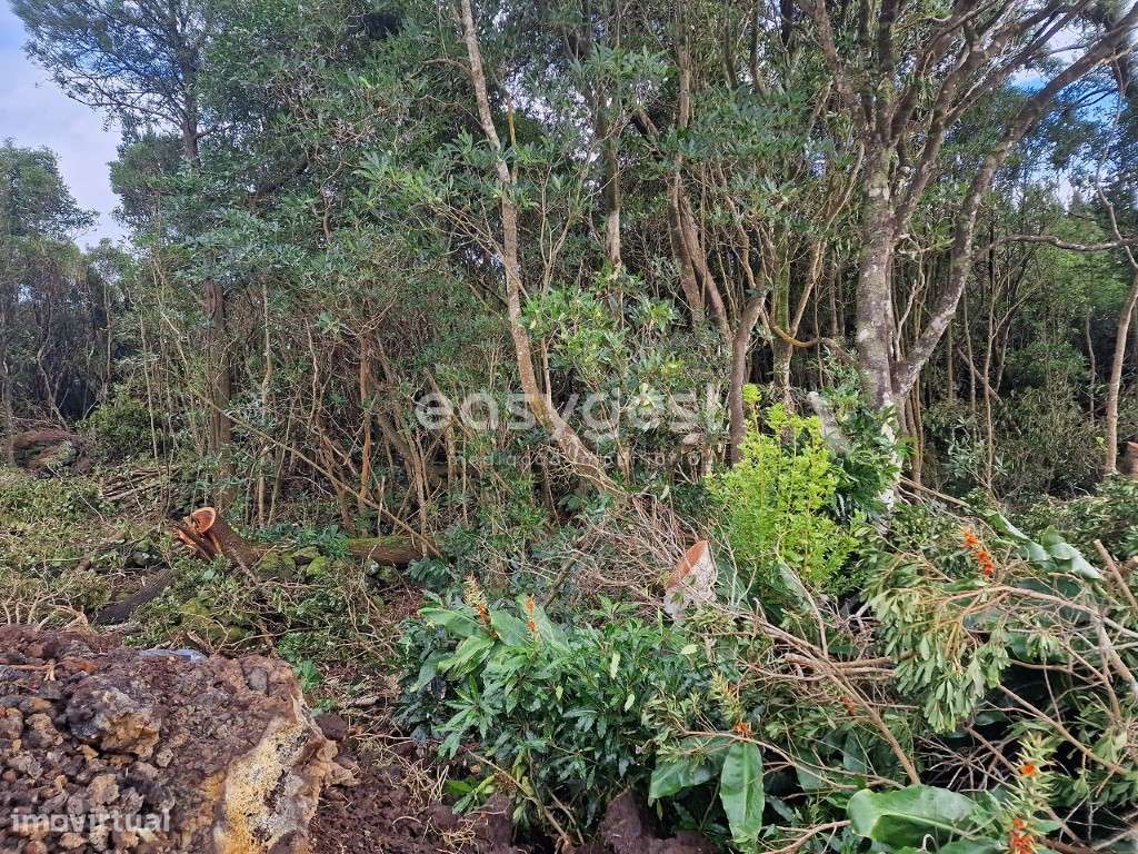 Terreno nas Bandeiras, Ilha do Pico, para construção da sua casa - Grande imagem: 5/16