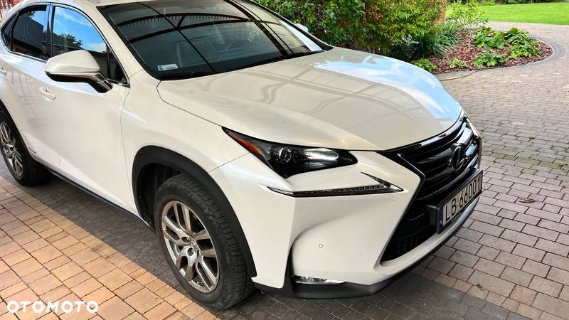 Lexus NX - 1