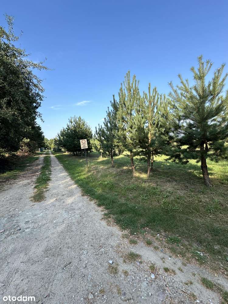 Działka Sekłak idealna na domek letniskowy - Pełny obrazek: 4/6