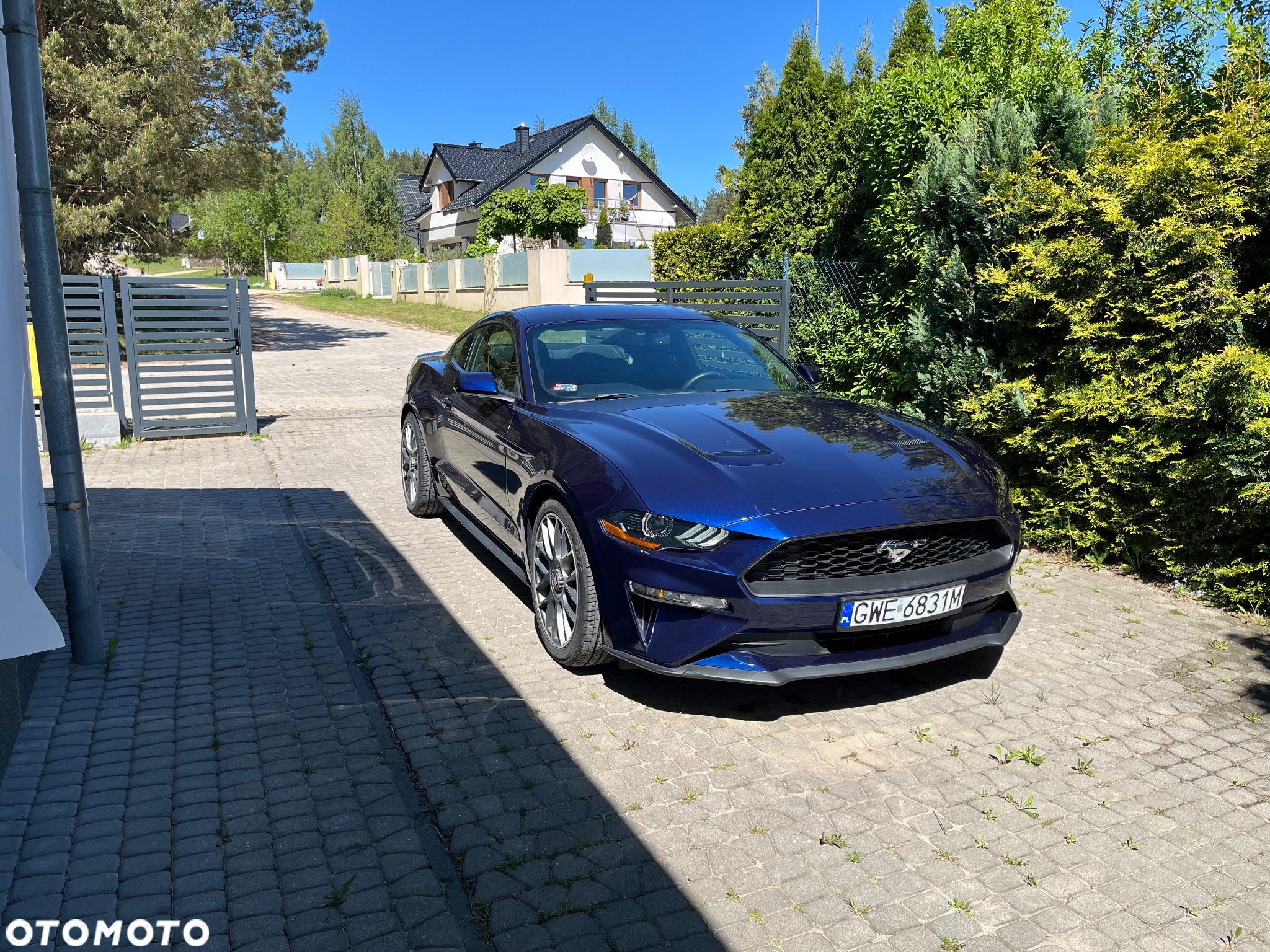 Ford Mustang 2.3 EcoBoost - 5