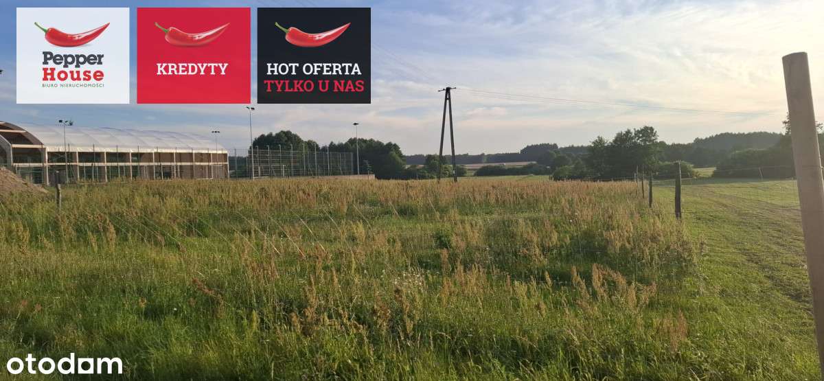 Działka budowlana - Bory tucholskie - Pełny obrazek: 5/5